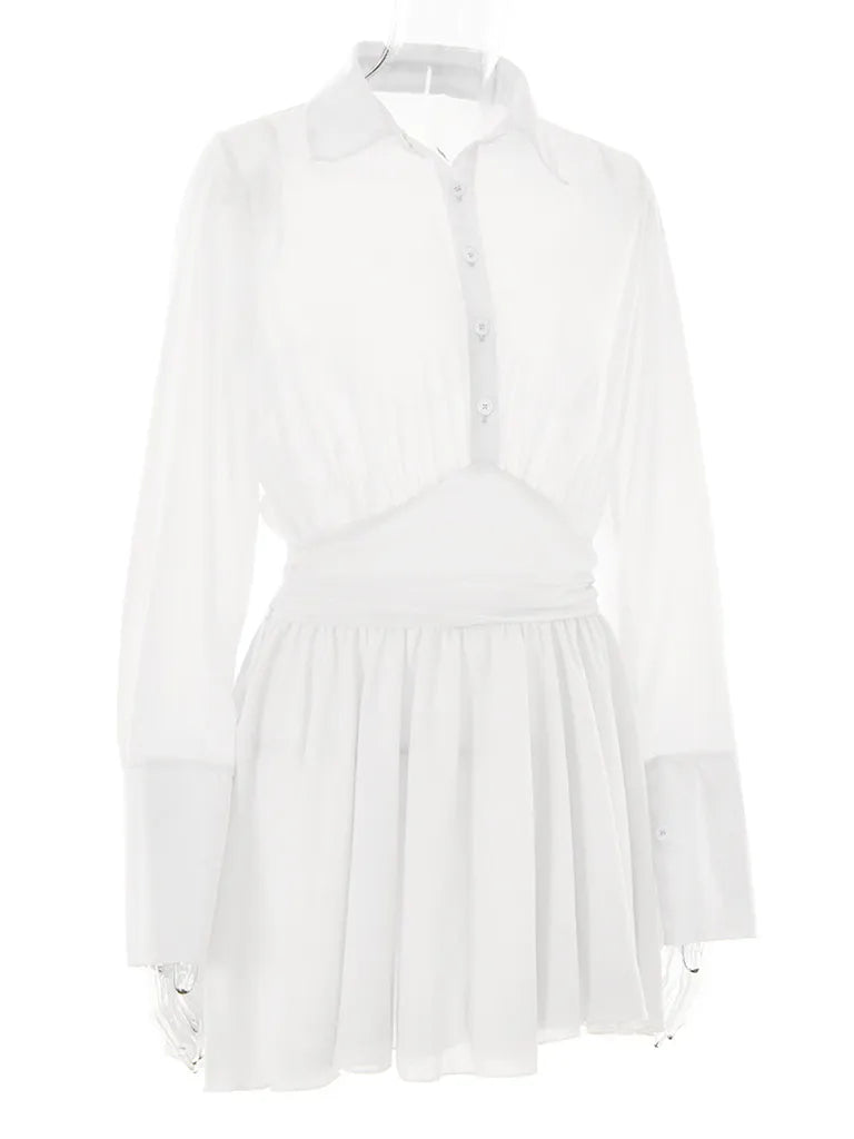 Sheer Mini Shirt Dress: See-Through & Flowy Skirt