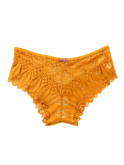 Briefs- Lace Women's Low-Waist Panty Briefs- - Chuzko Women Clothing